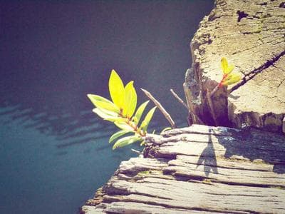 Photorealistic Renders